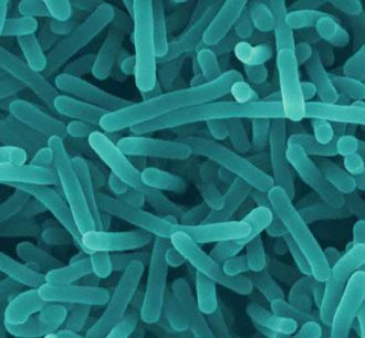 Eliminar bacterias en cualquier industria agroalimentaria con limpieza y desinfección