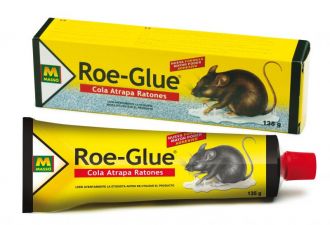   Eliminación de roedores (rata o ratón) con trampas adhesivas de cartón en Elche.