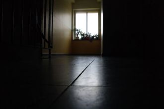 Hacer un tratamiento contra cucarachas en un piso alquilado en Elche.